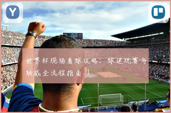世界杯现场看球攻略:球迷观赛与助威全流程指南_1