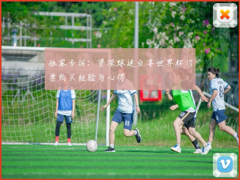 独家专访:资深球迷分享世界杯门票购买经验与心得