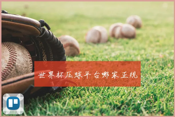 世界杯压球平台哪家正规