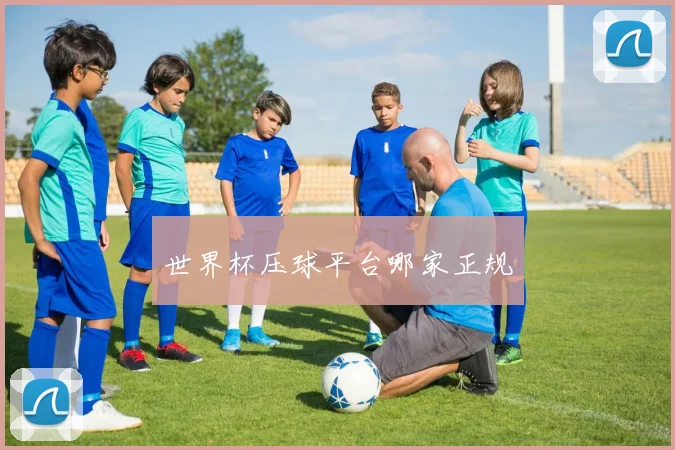 世界杯压球平台哪家正规