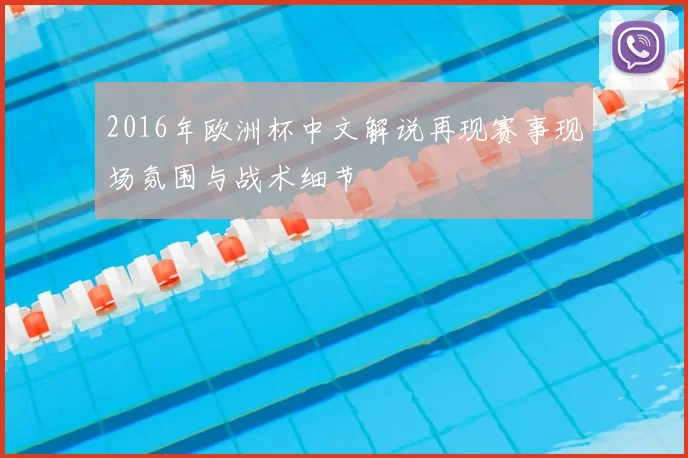 2016年欧洲杯中文解说再现赛事现场氛围与战术细节