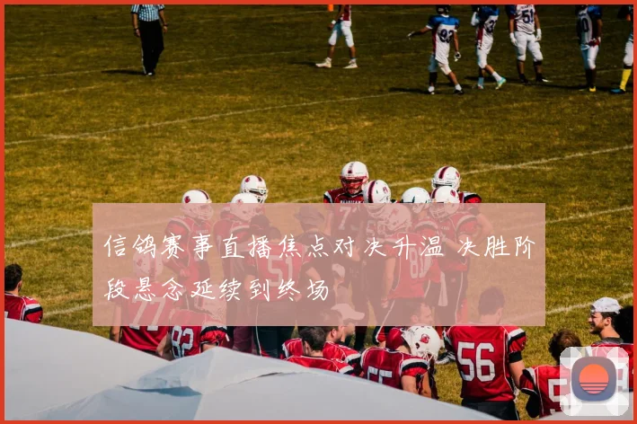 信鸽赛事直播焦点对决升温 决胜阶段悬念延续到终场