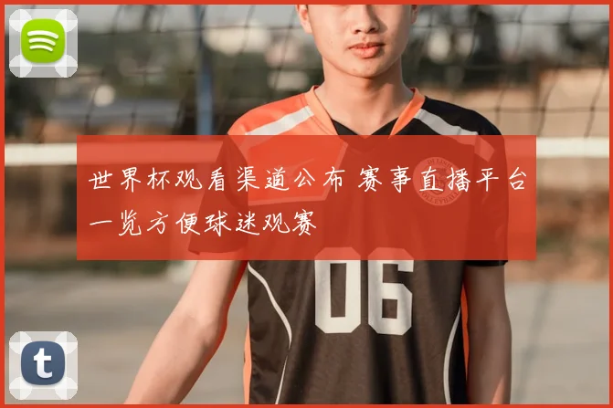 世界杯观看渠道公布 赛事直播平台一览方便球迷观赛