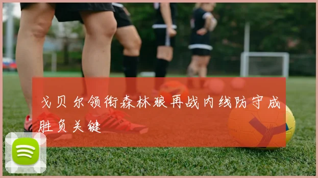 戈贝尔领衔森林狼再战内线防守成胜负关键