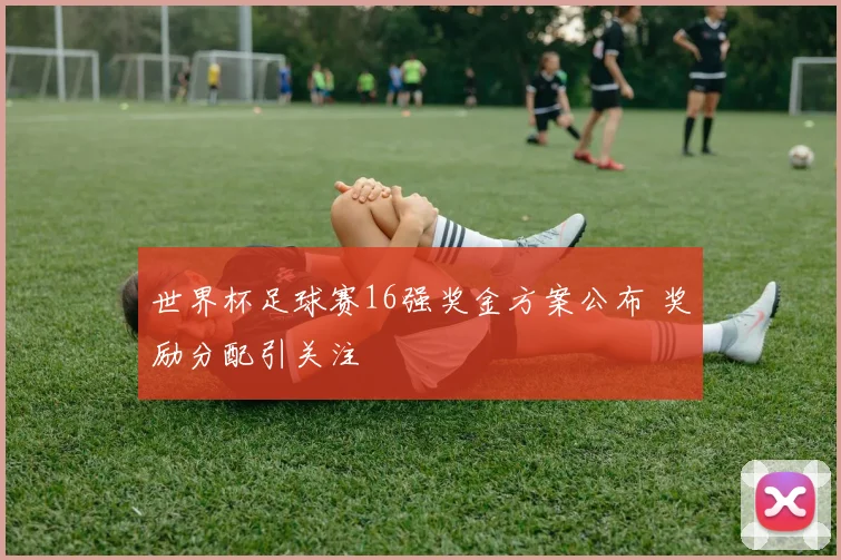 世界杯足球赛16强奖金方案公布 奖励分配引关注